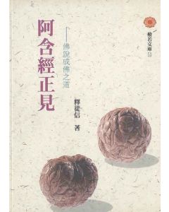 阿含經正見