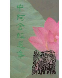 中阿含經選集