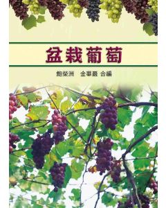 盆栽葡萄