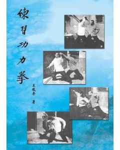 練習功力拳