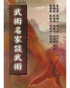 武術名家談武術