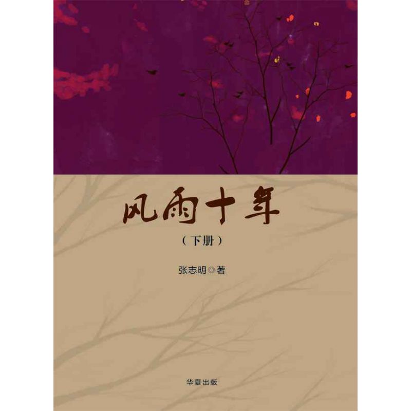 風雨十年-下