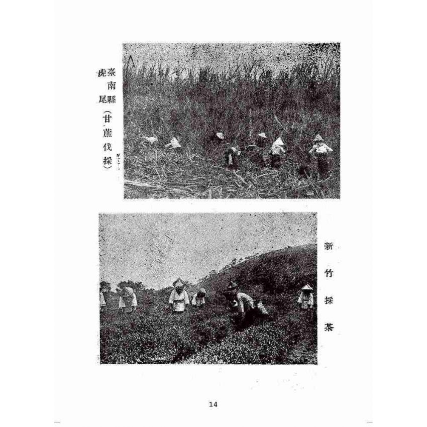 博揚古籍選(歷史篇):臺灣旅行指南