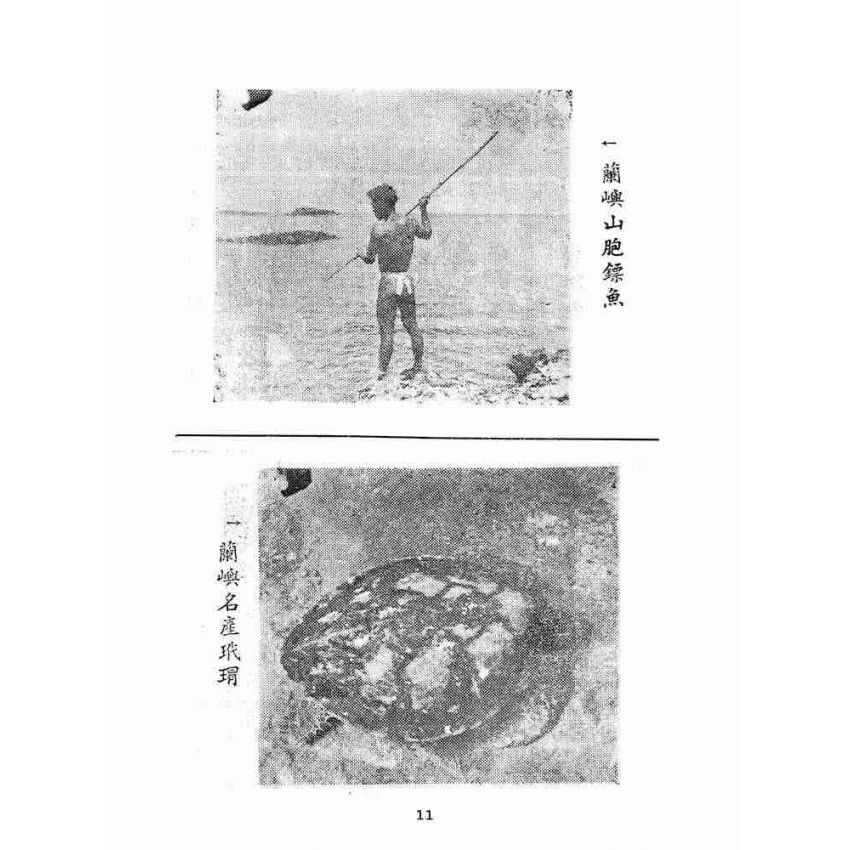 博揚古籍選(歷史篇):新生的東臺灣