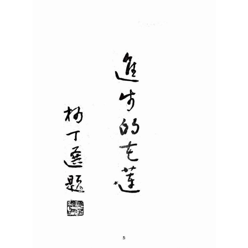 博揚古籍選(歷史篇):進步的花蓮