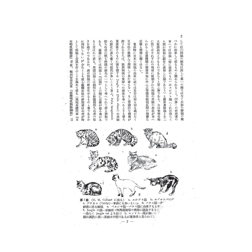 博揚古籍選(歷史篇) 科學の臺灣( 第九卷)