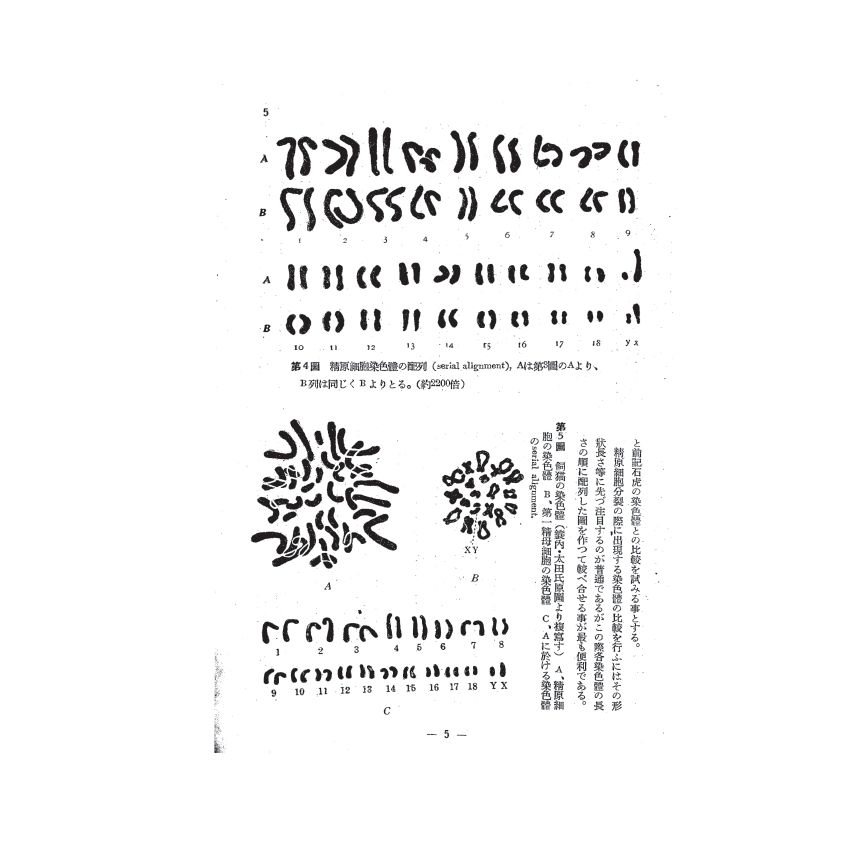 博揚古籍選(歷史篇) 科學の臺灣( 第九卷)