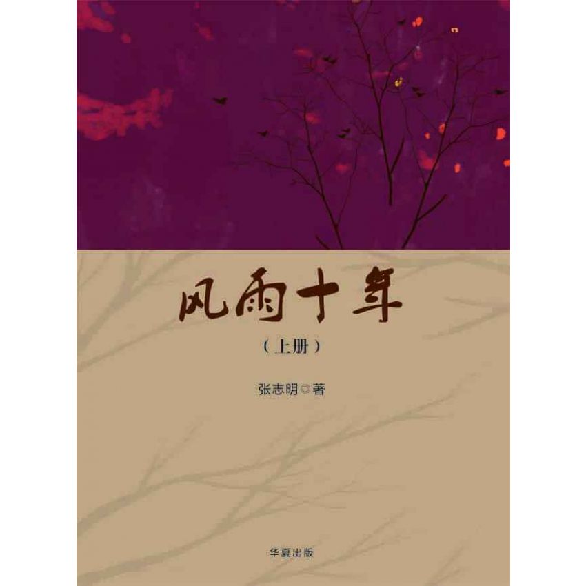 風雨十年-上
