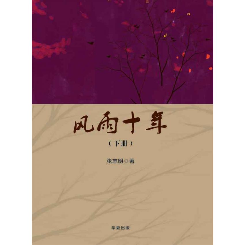 風雨十年-下