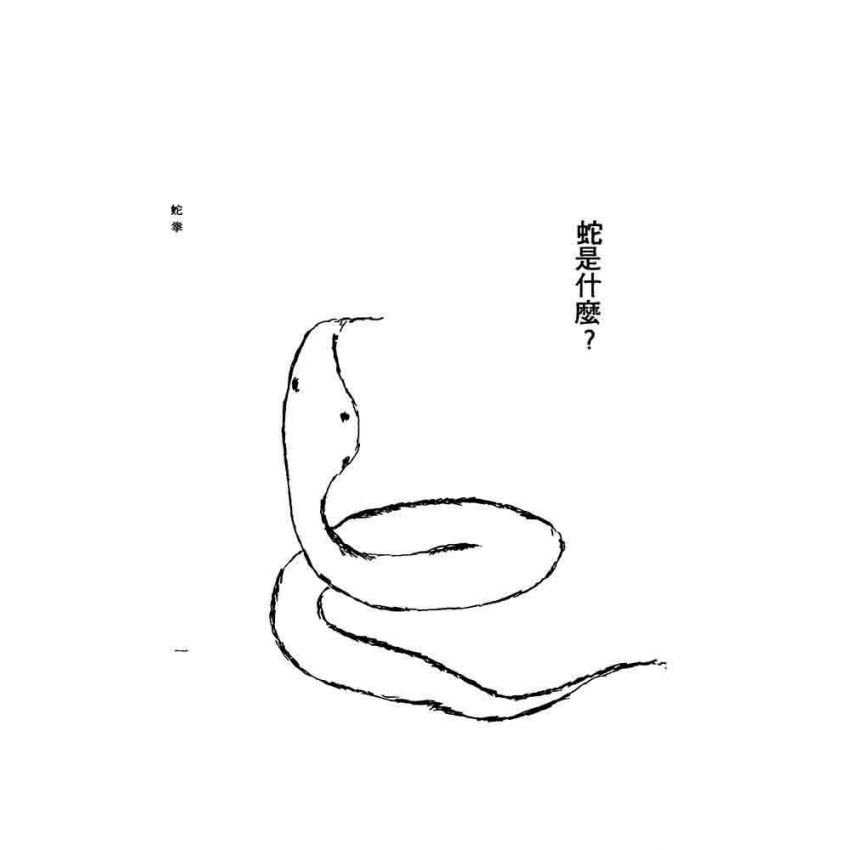 蛇拳秘傳