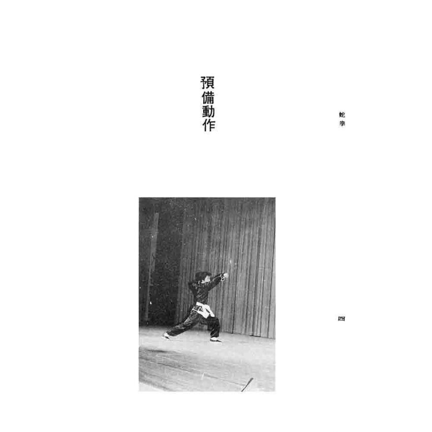 蛇拳秘傳