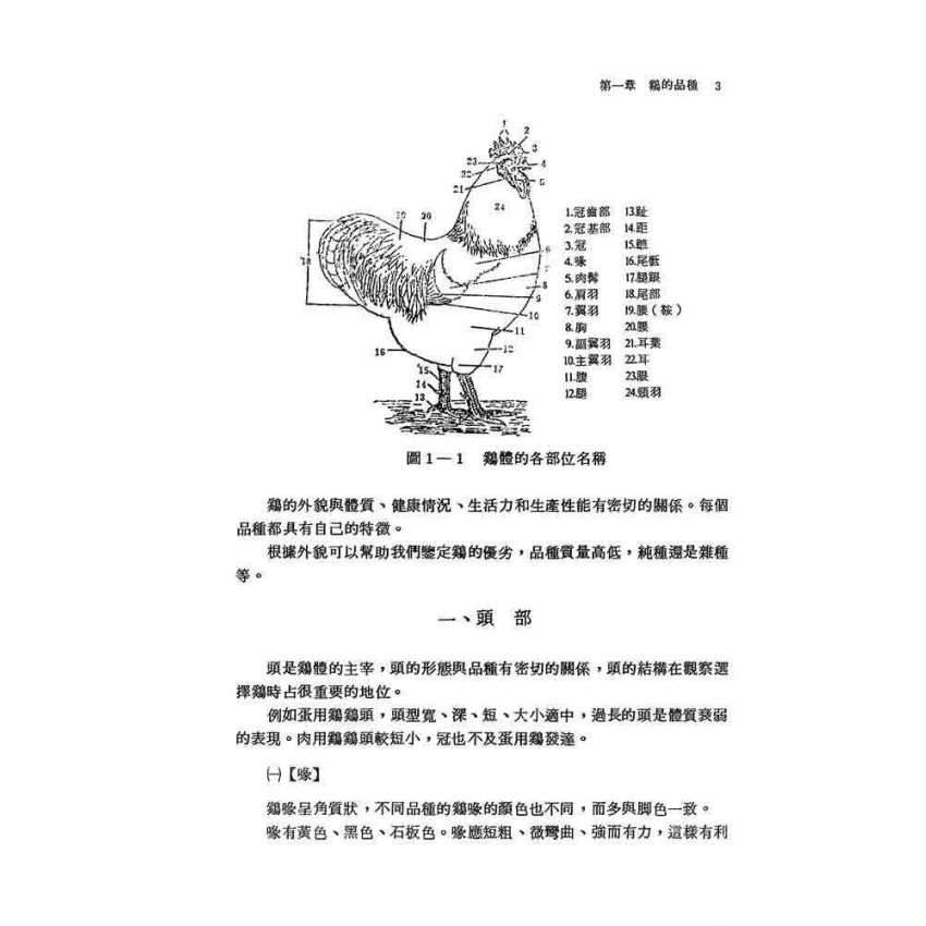 雞類飼養與繁殖