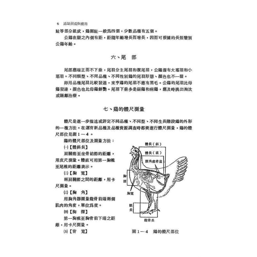 雞類飼養與繁殖