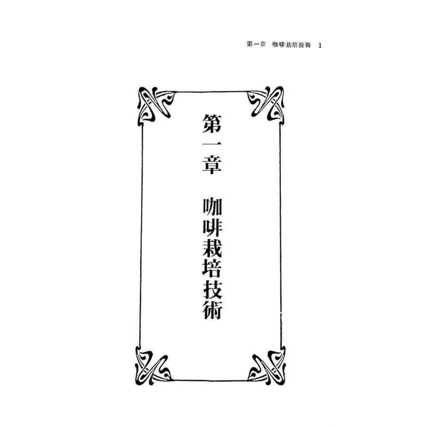 咖啡芒果腰果栽培法