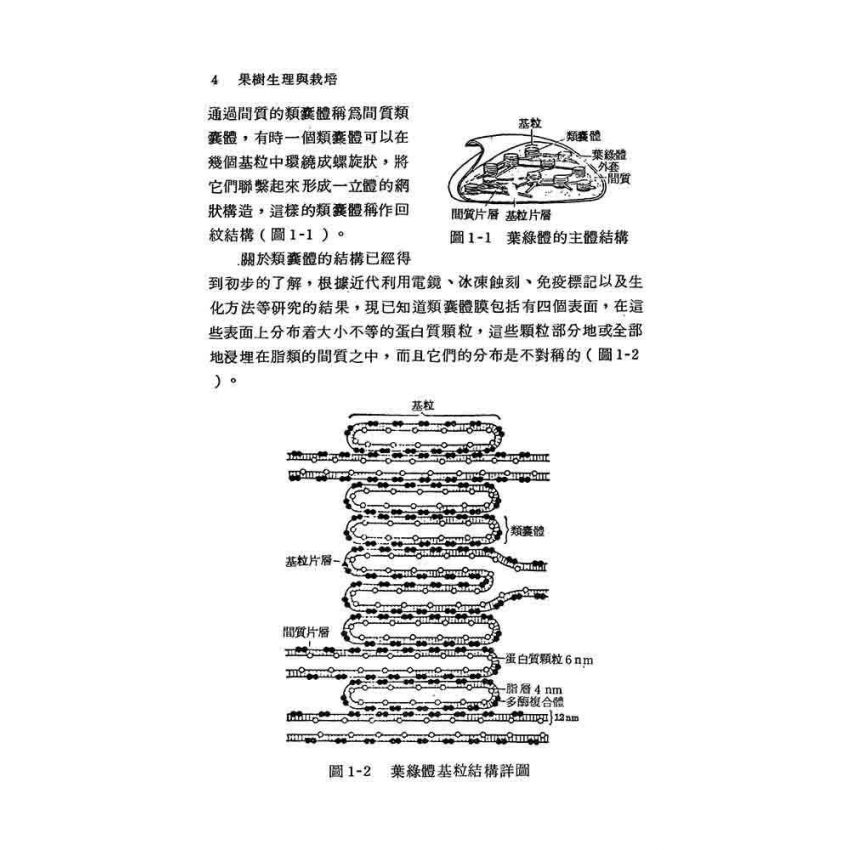 果樹生理與栽培