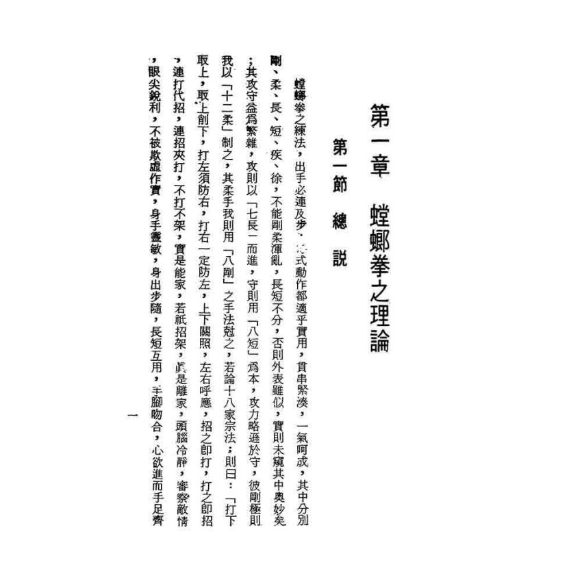 實用螳螂拳