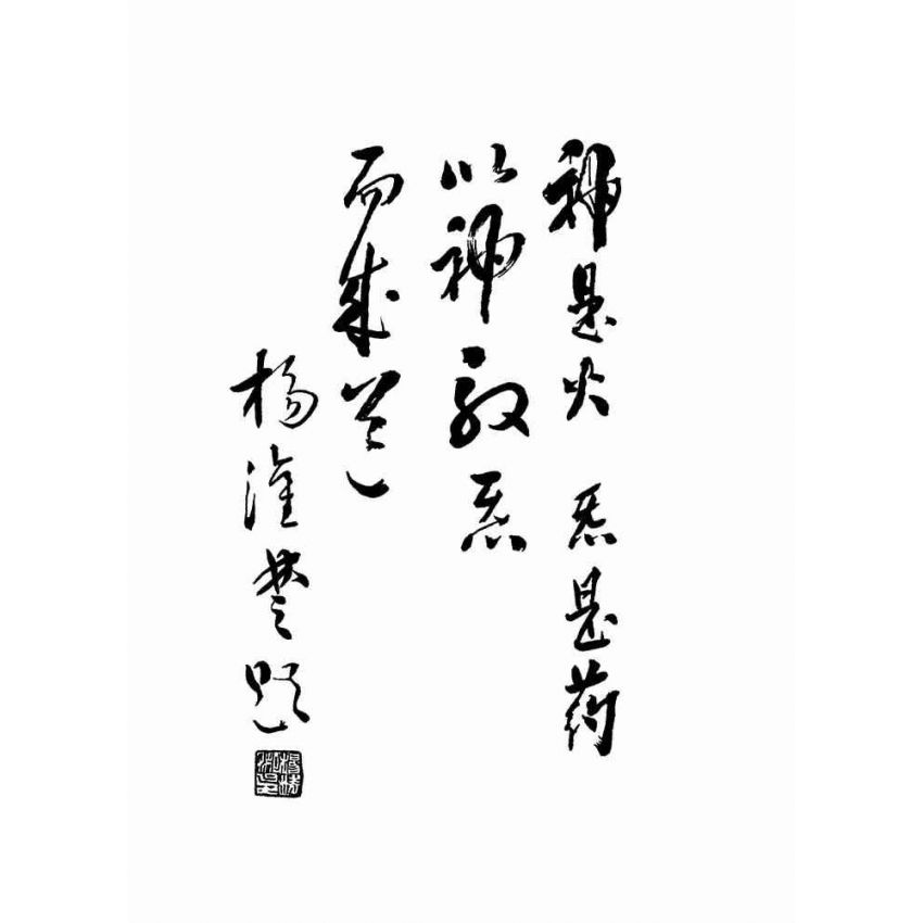 传统八卦掌 第三册 八卦掌使用法