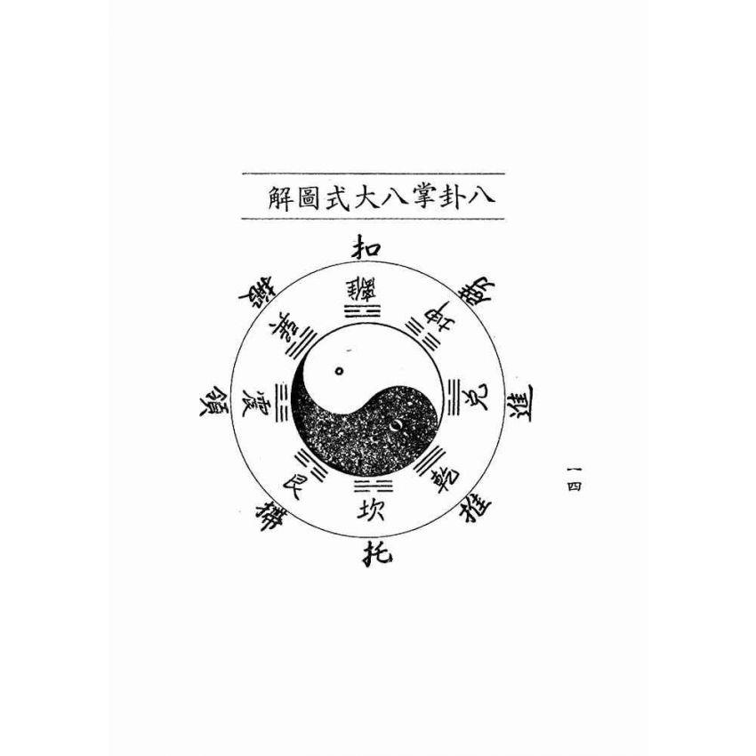 八卦連環掌 八卦遊身掌　王樹金 八卦連環掌