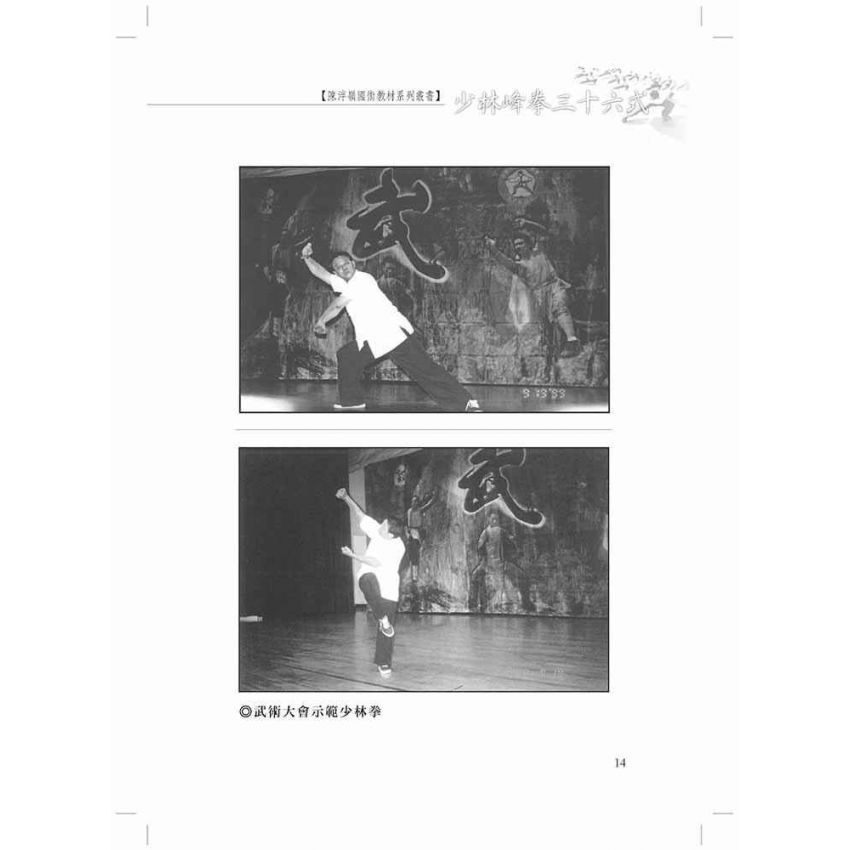 少林峰拳三十六式