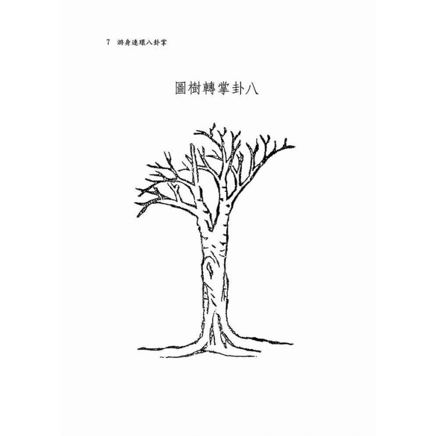 游身連環八卦掌