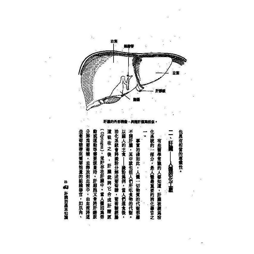肝病中西醫雙效自療手冊