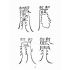 博揚古籍選(宗教篇):九祖留傳羅憑收元寶偈